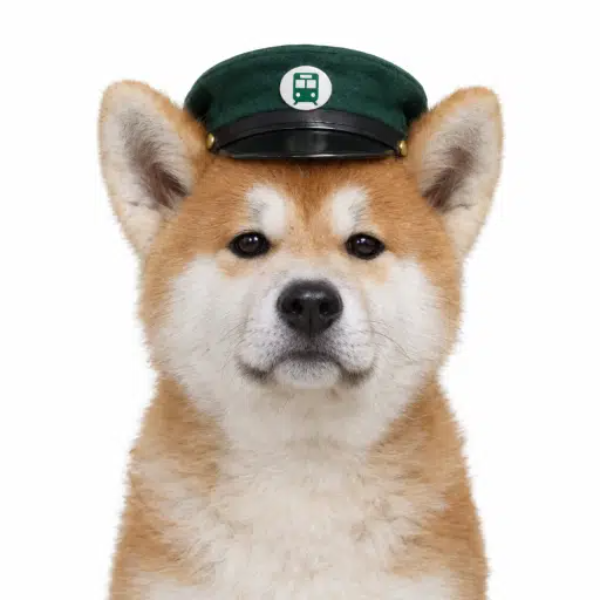 HACHI