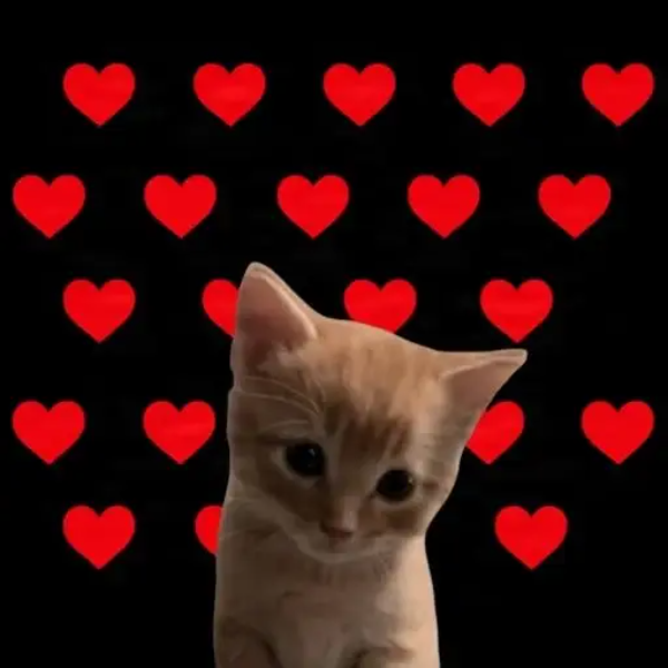 HEARTCAT