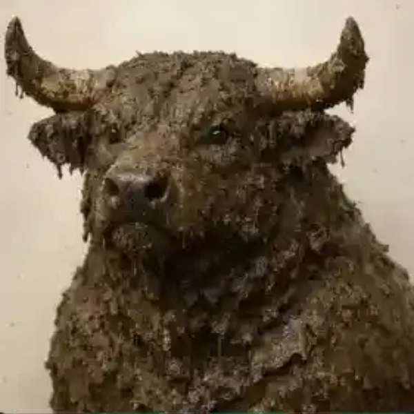 BULLSHIT